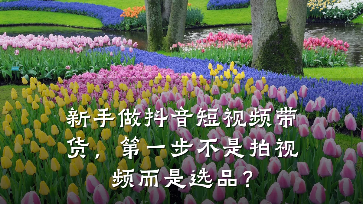 新手做抖音短视频带货，第一步不是拍视频而是选品？