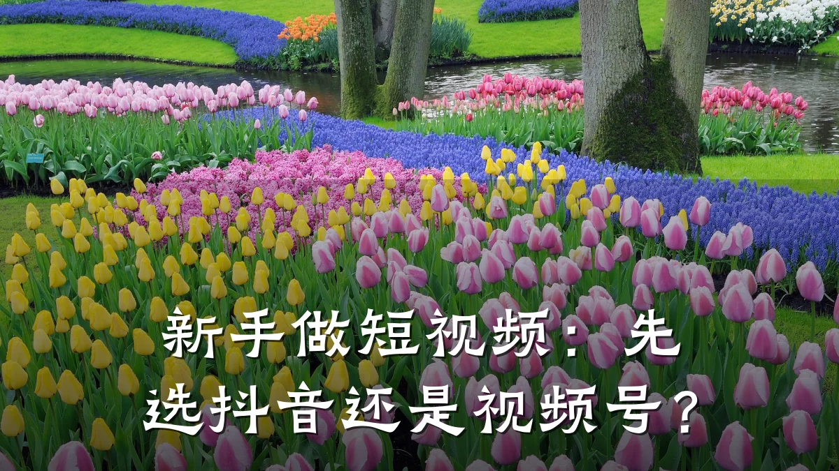 新手做短视频：先选抖音还是视频号？