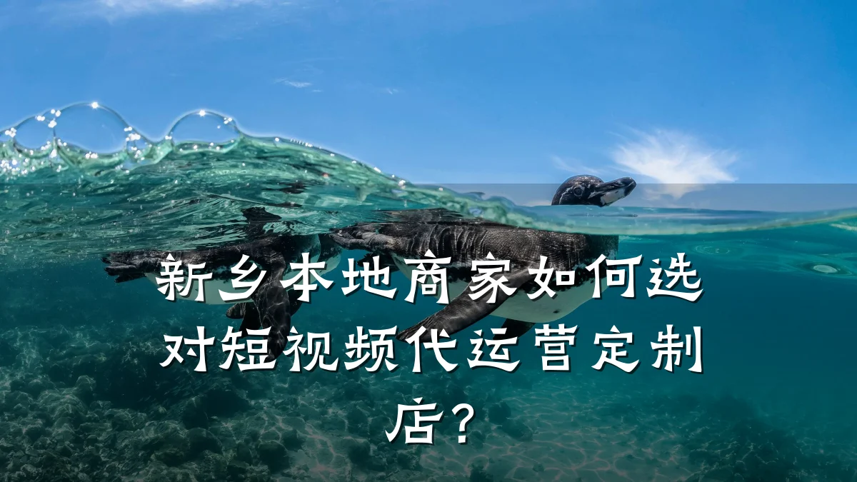 新乡本地商家如何选对短视频代运营定制店？