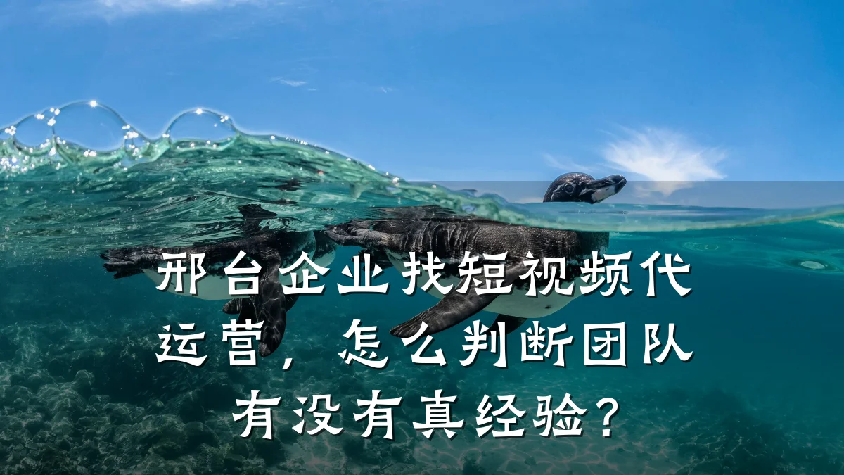邢台企业找短视频代运营，怎么判断团队有没有真经验？