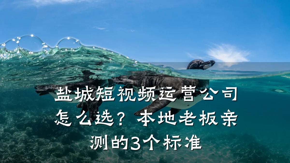 盐城短视频运营公司怎么选？本地老板亲测的3个标准