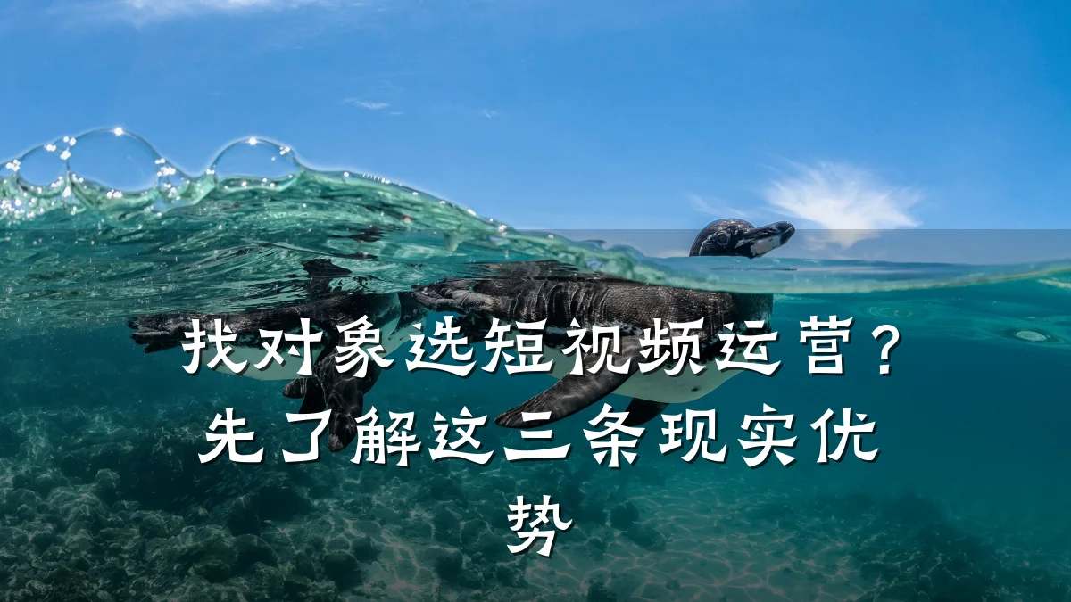 找对象选短视频运营？先了解这三条现实优势