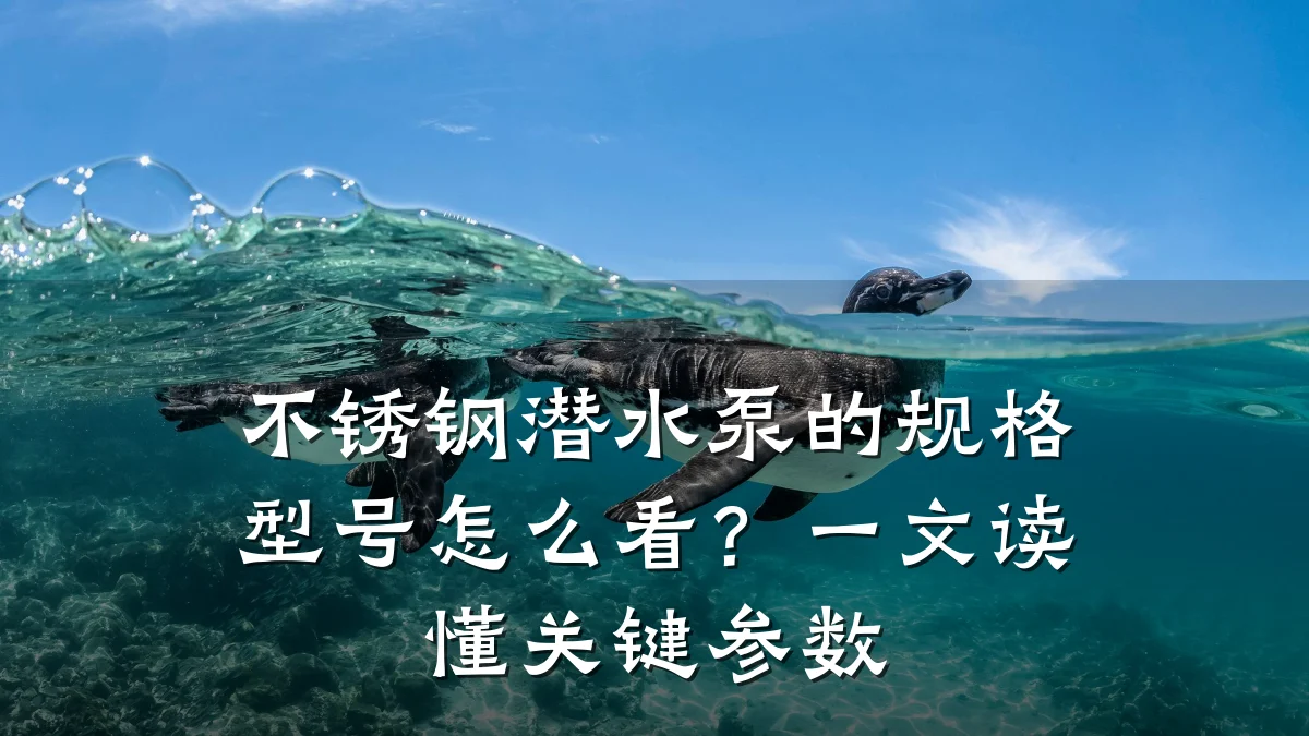 不锈钢潜水泵的规格型号怎么看？一文读懂关键参数