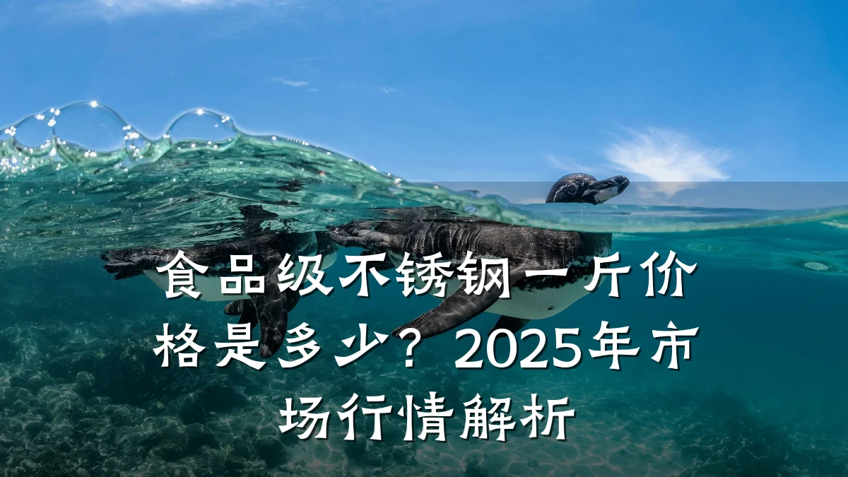 食品级不锈钢一斤价格是多少？2025年市场行情解析