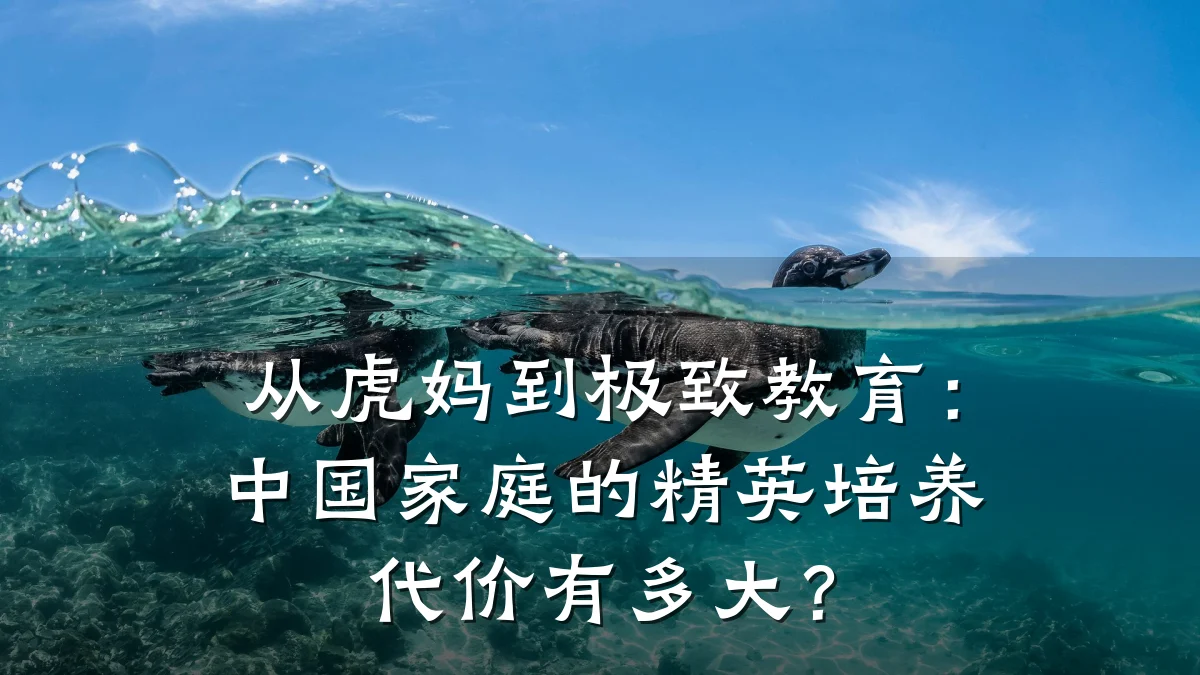 从虎妈到极致教育：中国家庭的精英培养代价有多大？