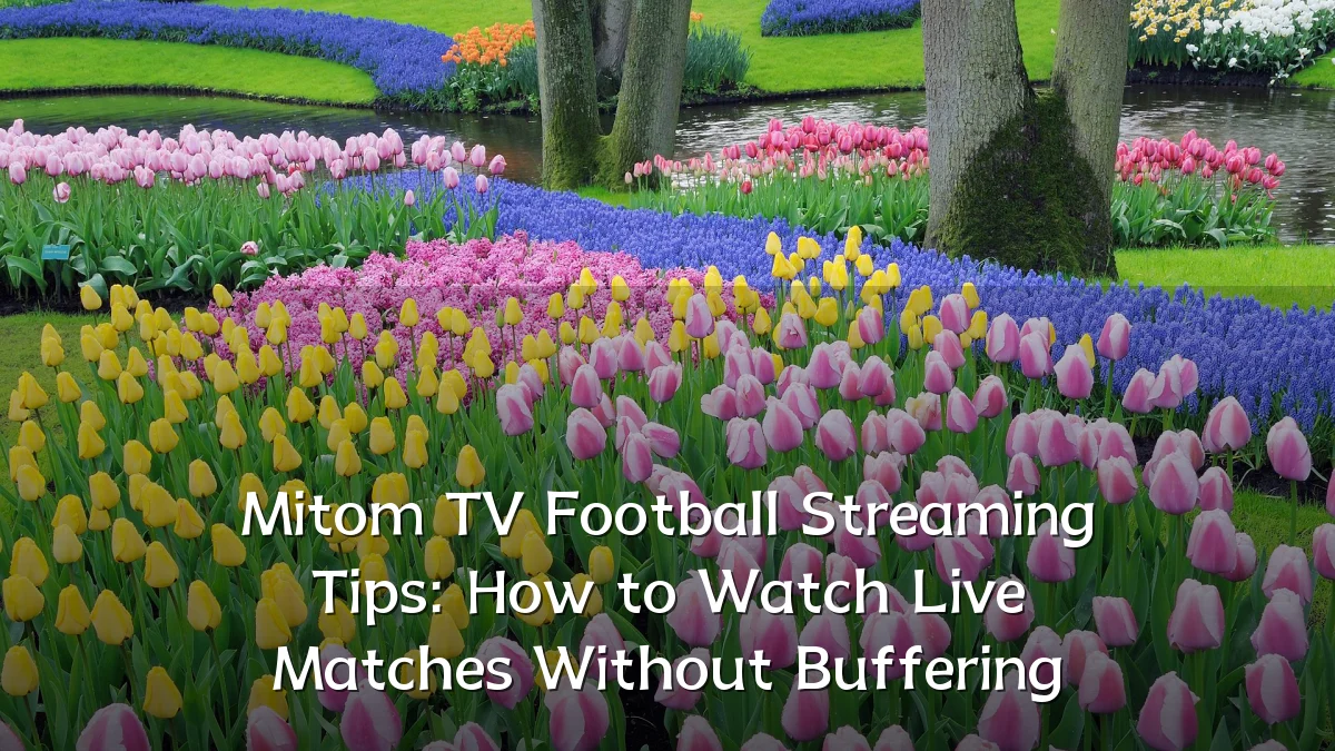 Mitom TV Football Streaming Tips: How to Watch Live Matches Without Buffering