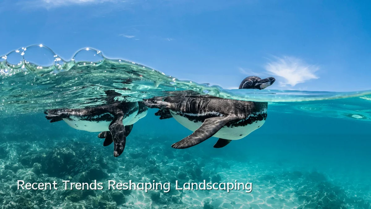 Recent Trends Reshaping Landscaping