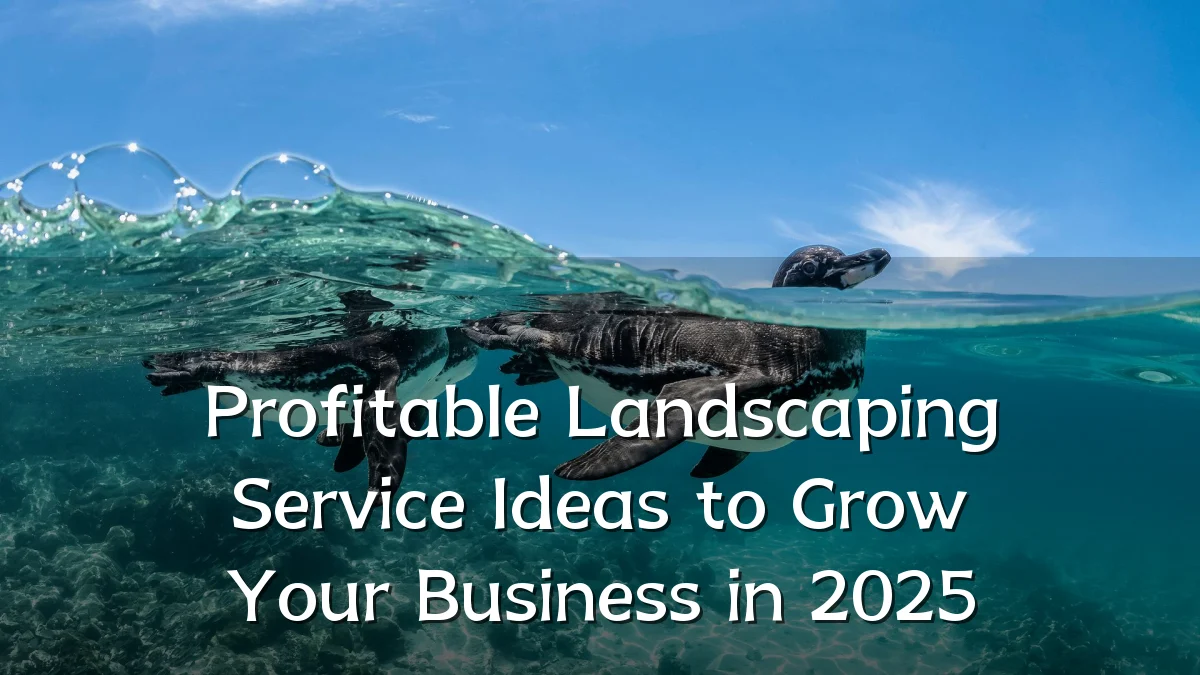 Profitable Landscaping Service Ideas to Grow Your Business in 2025