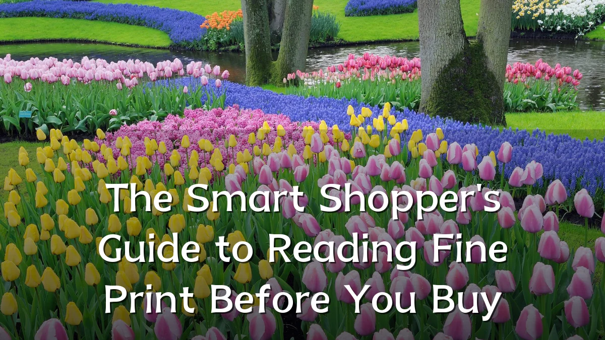 The Smart Shopper's Guide to Reading Fine Print Before You Buy